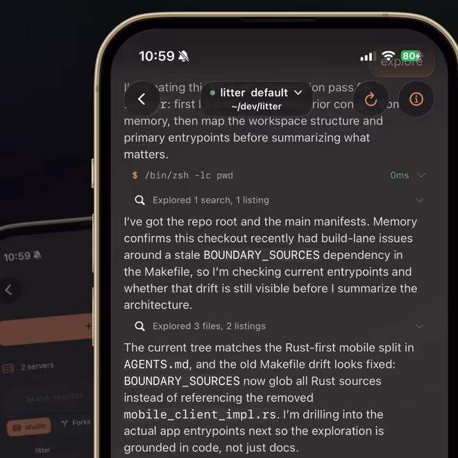 KittyLitter remote connection running on an iPhone.