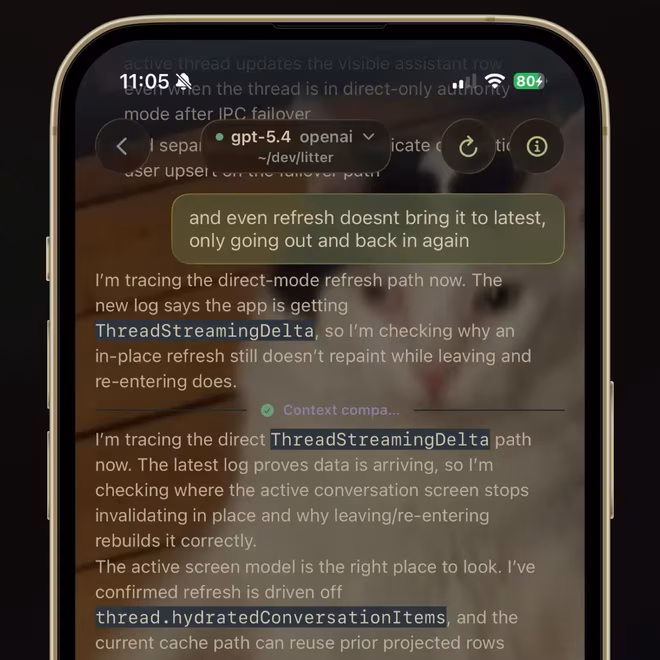 KittyLitter debugging workflow on an iPhone.