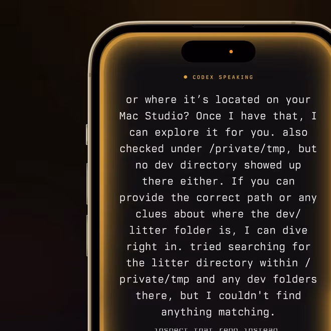KittyLitter voice input on an iPhone.
