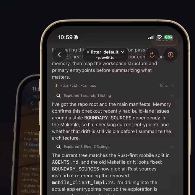 KittyLitter project explorer on an iPhone.